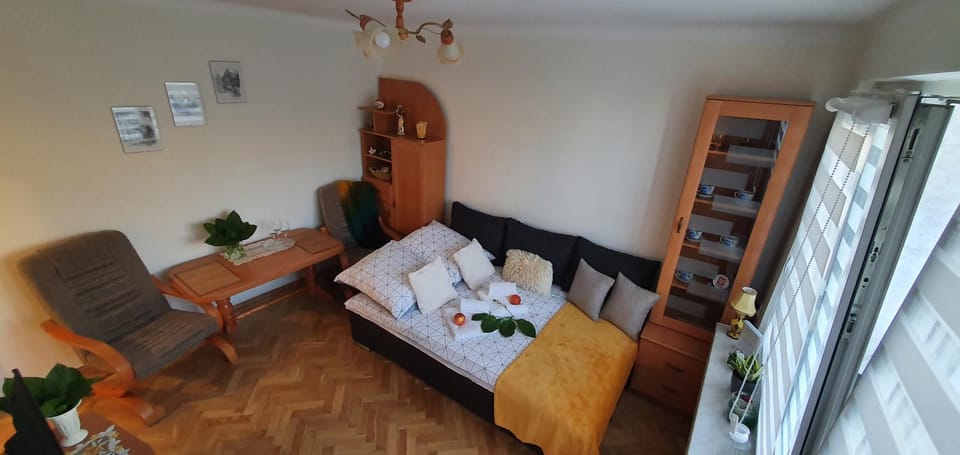 Apartament Park Saski II Apartment in Poland