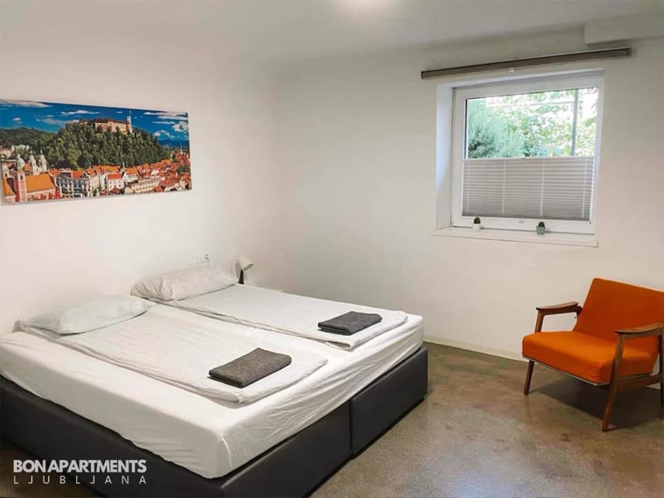 Huge BBQ Garden 1, Basement app Two Bathrooms, AC, Free Parking Apartment in Ljubljana