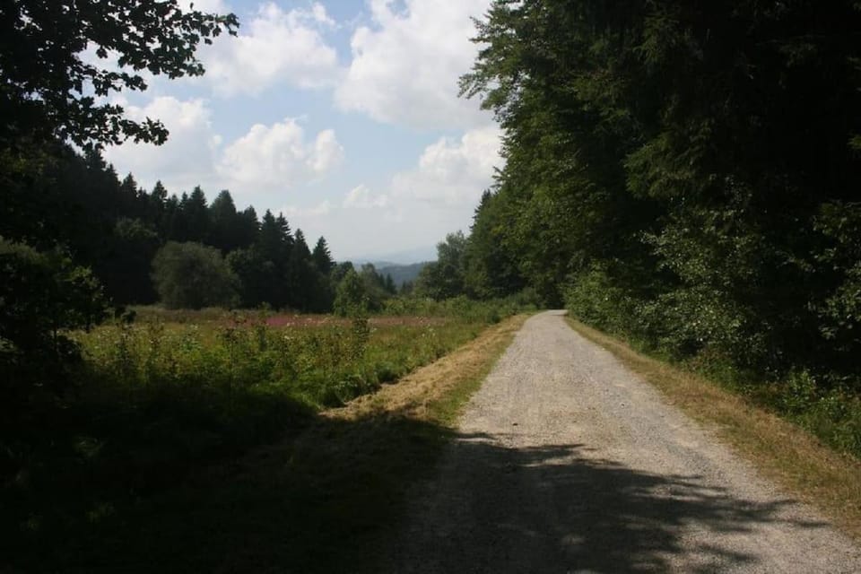 Natural landscape