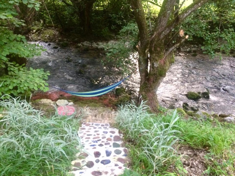 River view