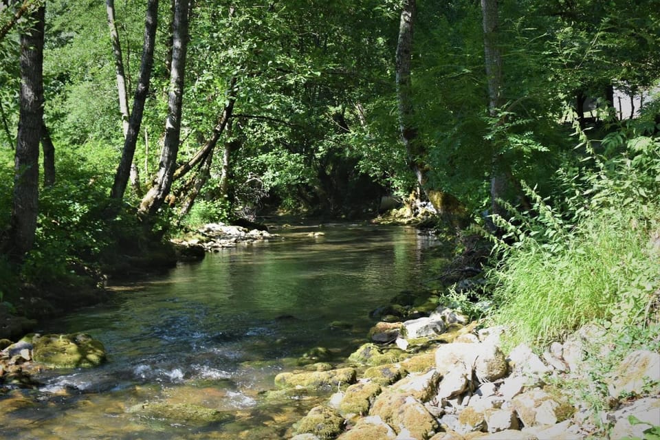 River view