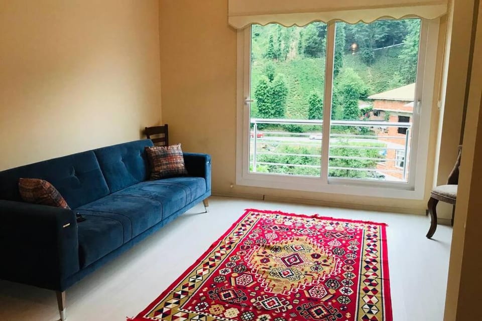 Living room, Seating area, Garden view