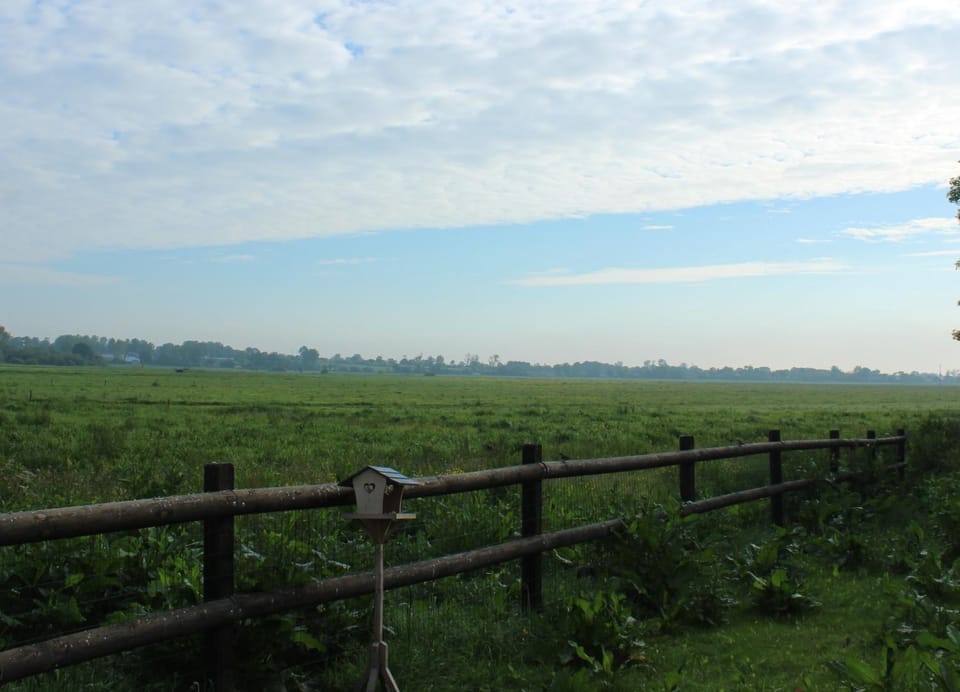 Natural landscape