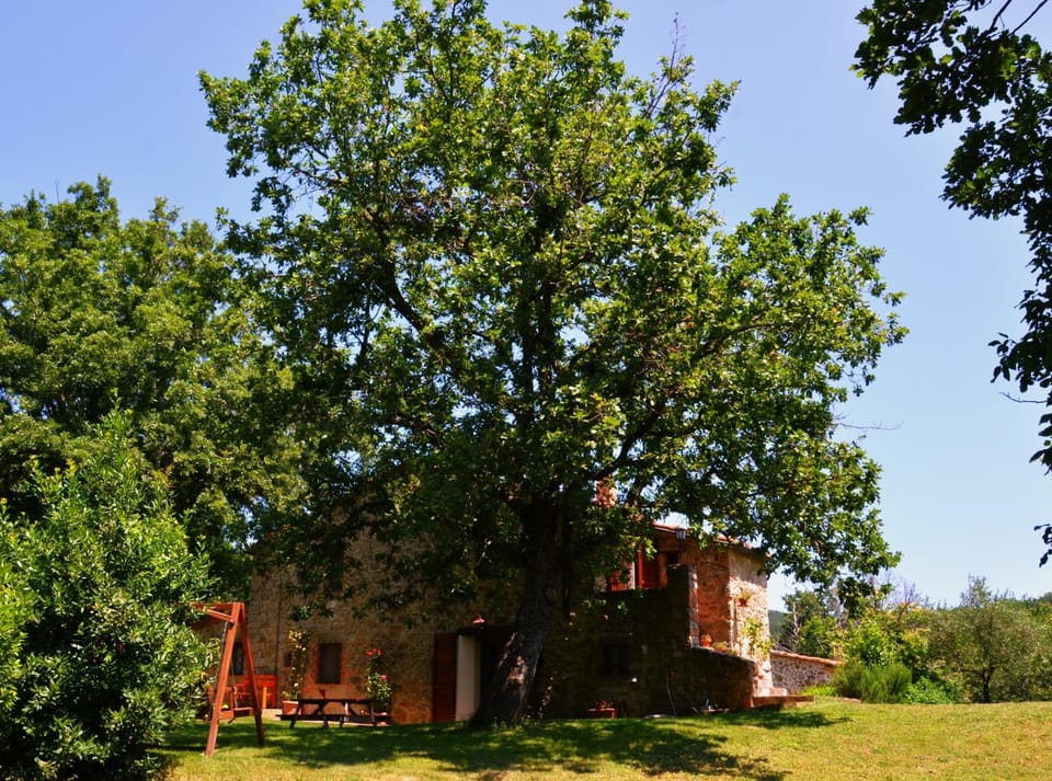 Property building, Spring, Day, Natural landscape, Garden, Garden view