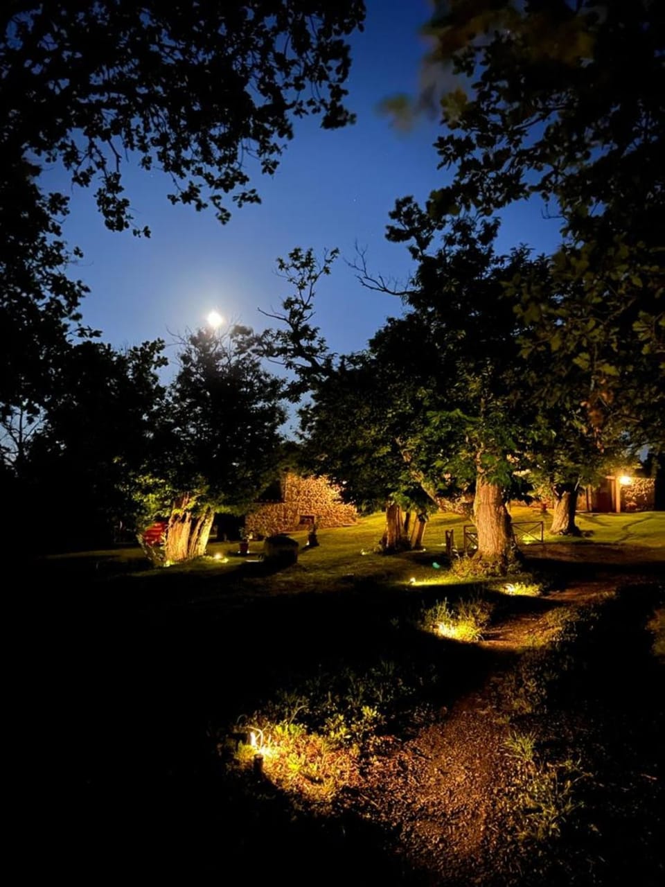 Night, Natural landscape, Garden, Garden view