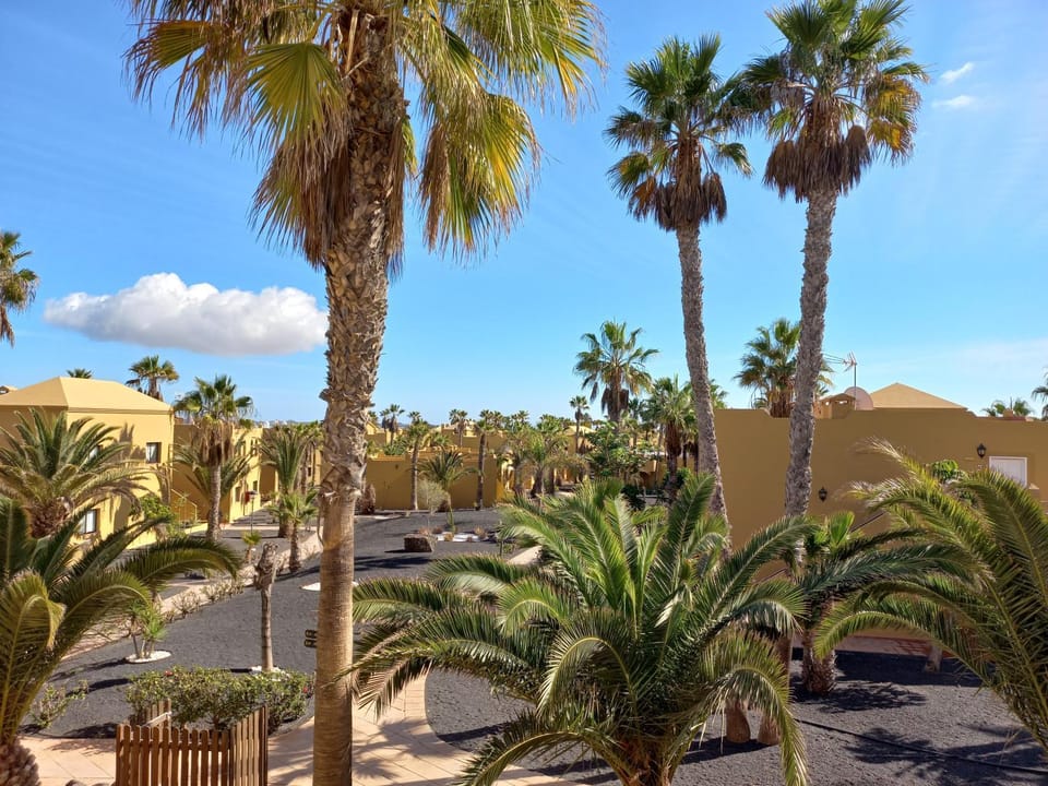 Apartamentos Corralejo Playa Oasis Apartment in Corralejo