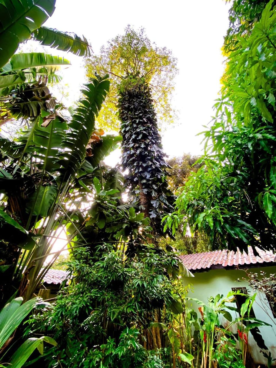 Kamrai Homestay Resort in Koh Chang Tai