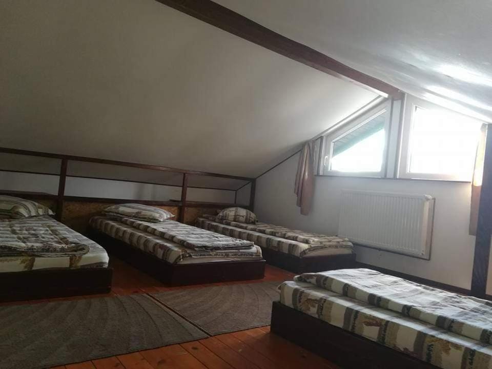 Casa Riciu Nature lodge in Prahova, Romania