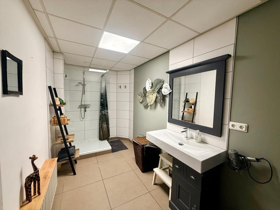 Bathroom, hair dryier