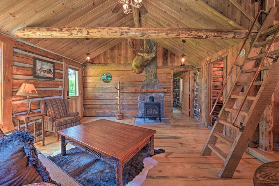 Montana Retreat: Original Hamilton Log Cabin! Cabin in Idaho