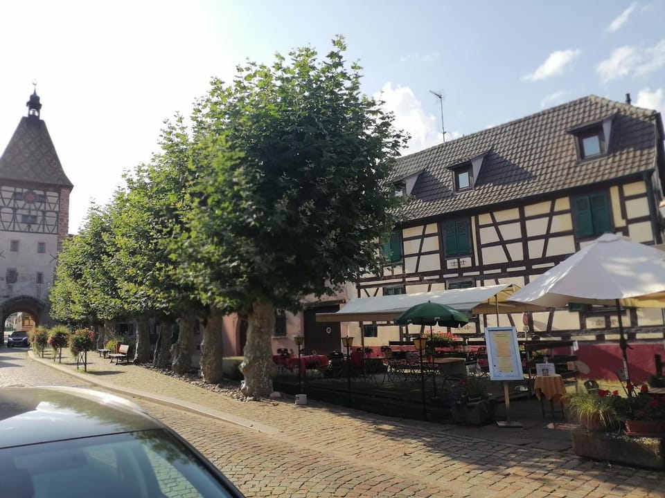 Gites Aux Fines Bulles d'Alsace Apartment in Ribeauvillé