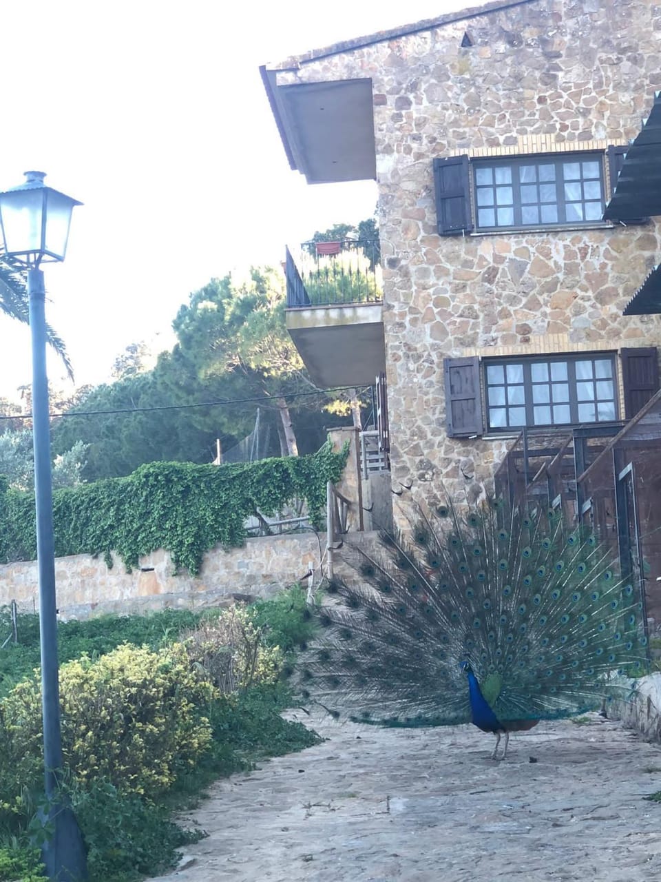Casa entera a Emporda 10 min platja i piscina Apartment in Torroella de Montgrí