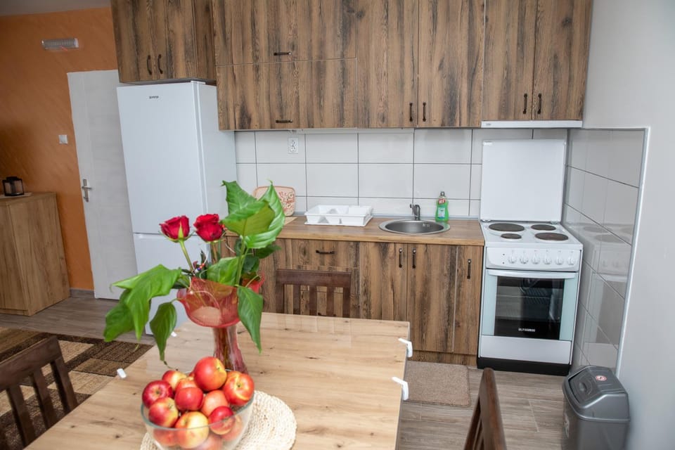Kuca Stojanovica Topli Do Apartment in Serbia