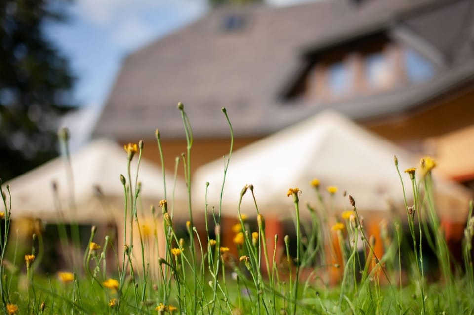 Villa Idylla Bed and Breakfast in Lower Silesian Voivodeship