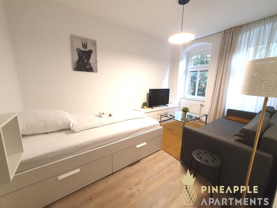 Bed, TV and multimedia, Living room, Photo of the whole room, Seating area, Bedroom