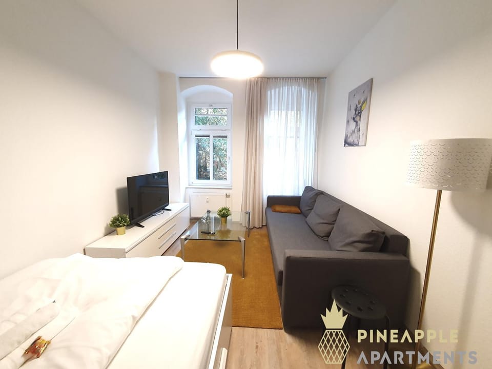 Bed, TV and multimedia, Living room, Photo of the whole room, Seating area, Bedroom