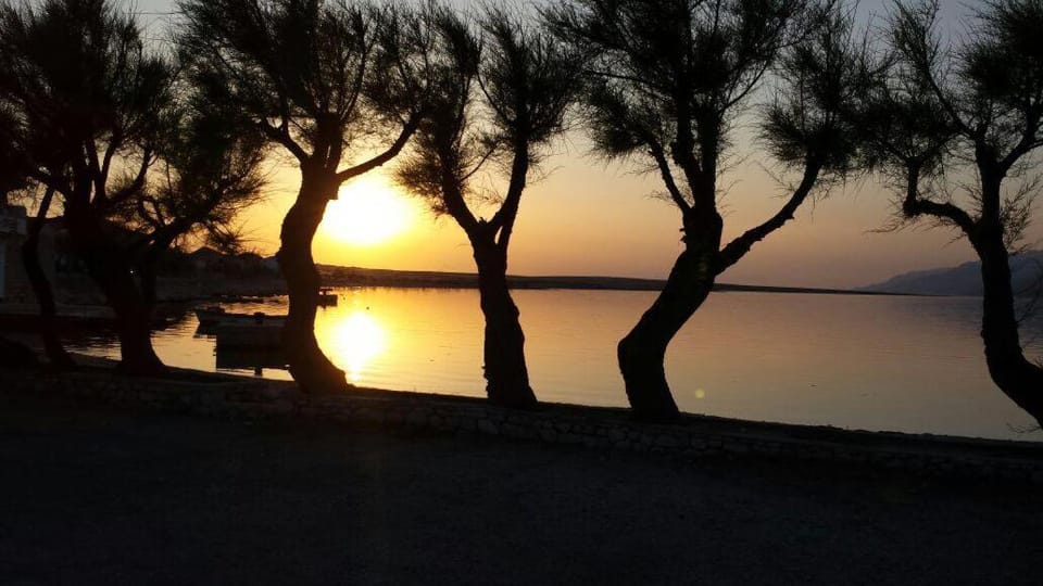 Priscilla Apartment Apartment in Zadar County