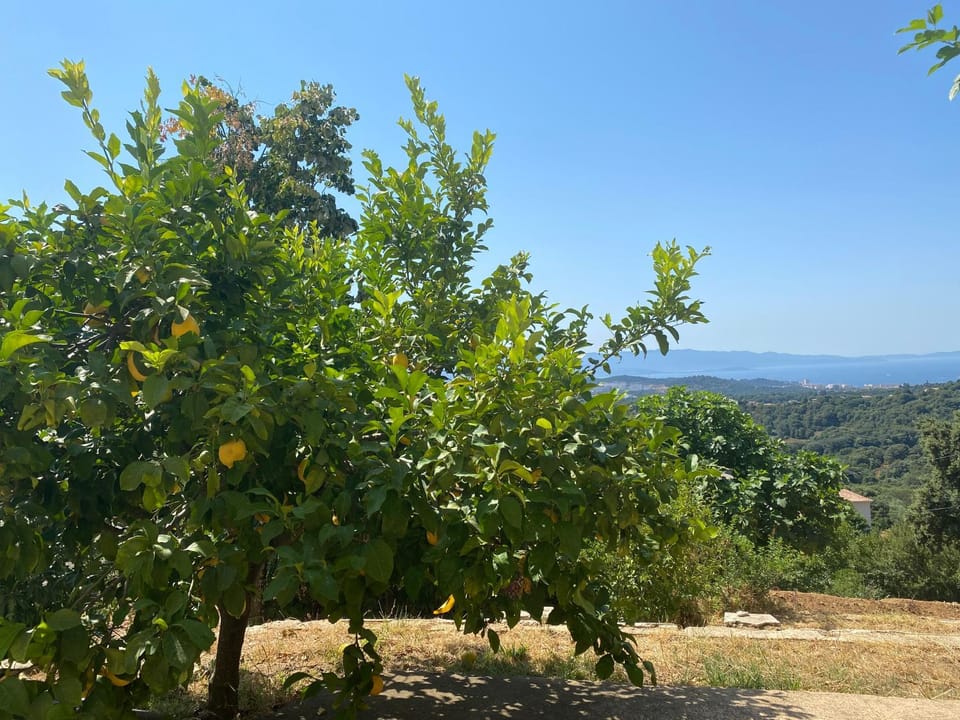 Natural landscape, Sea view