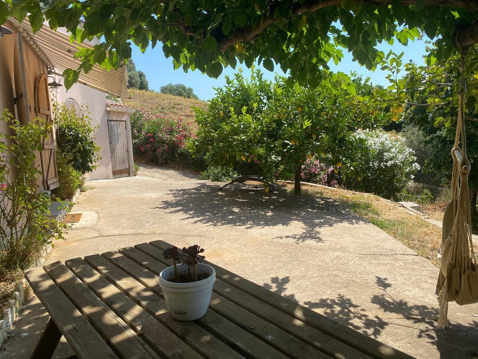 Property building, Garden, Balcony/Terrace