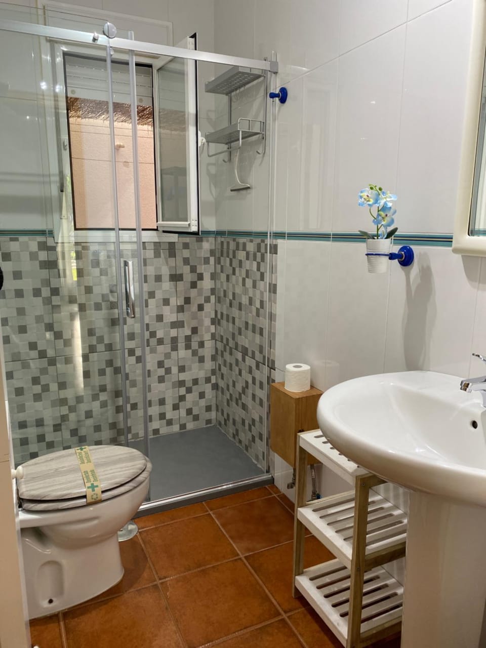 Shower, Toilet