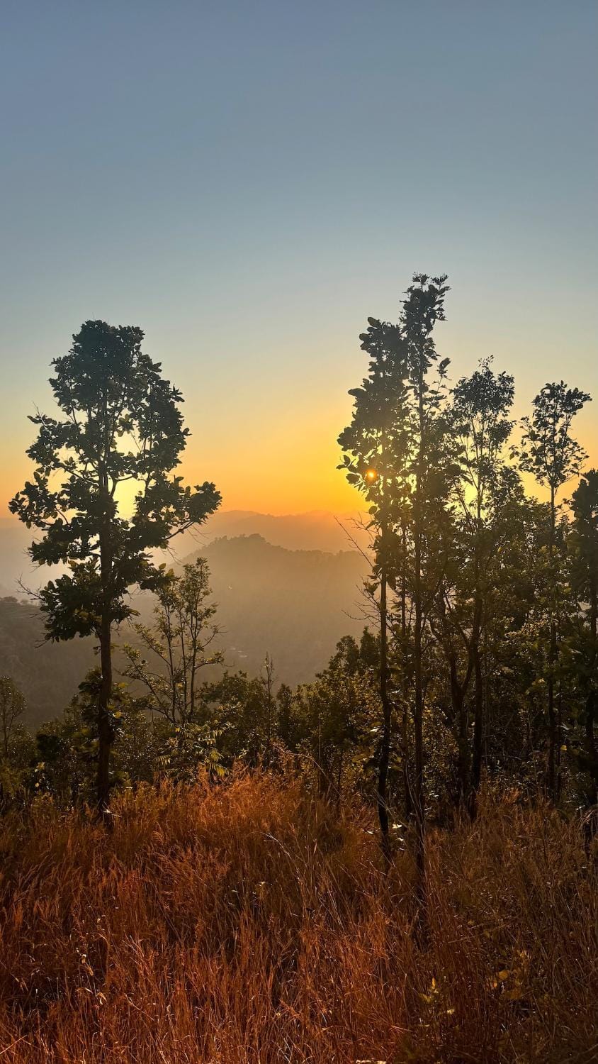 Blue Pine Orchards Apartment hotel in Uttarakhand