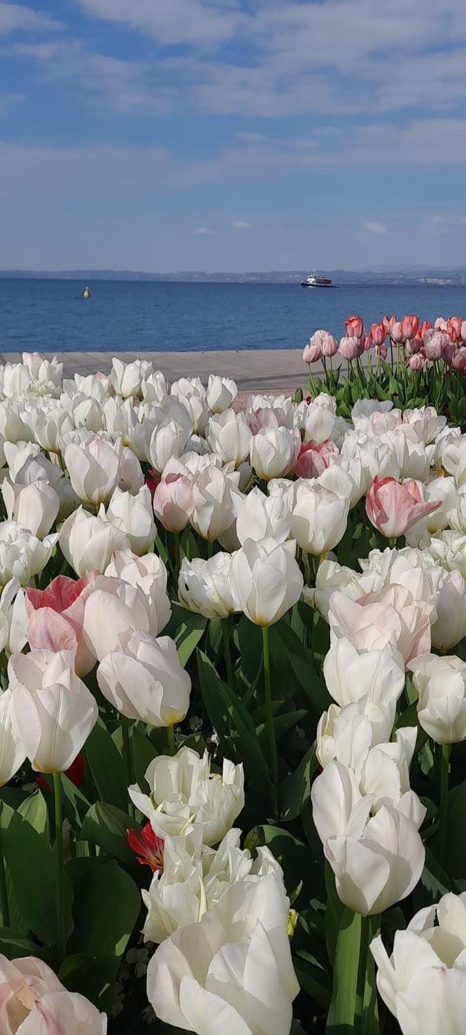 Vanti al Garda Apartment in Bardolino