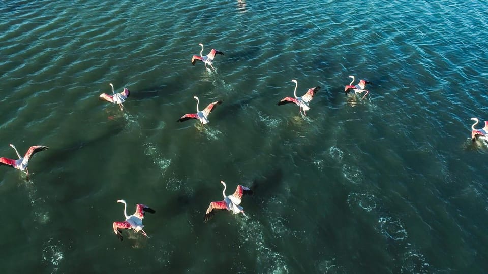 Natural landscape, Bird's eye view