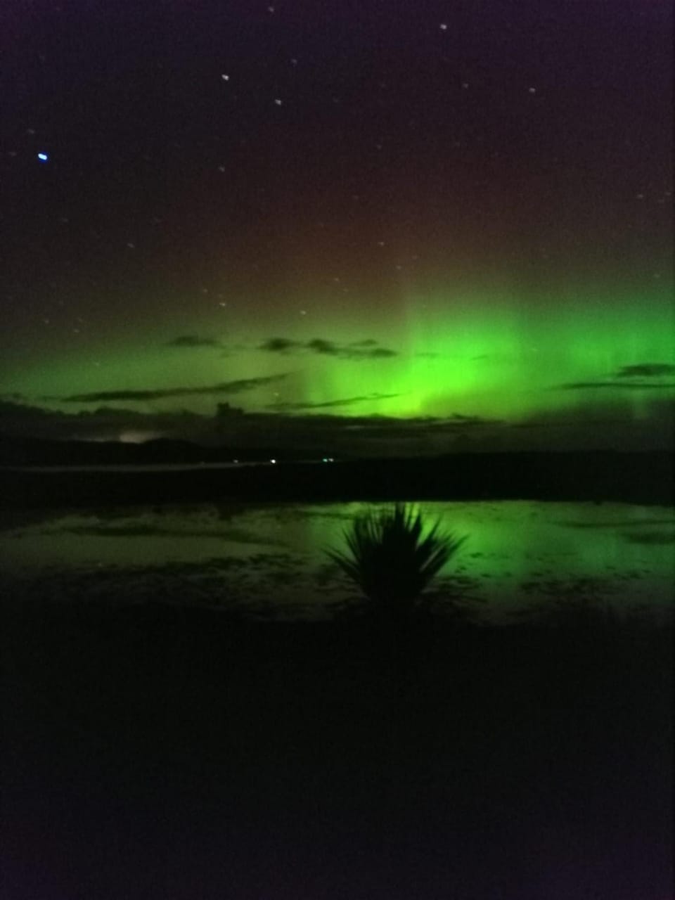 Skye Coorie Cabin Cabin in Scotland