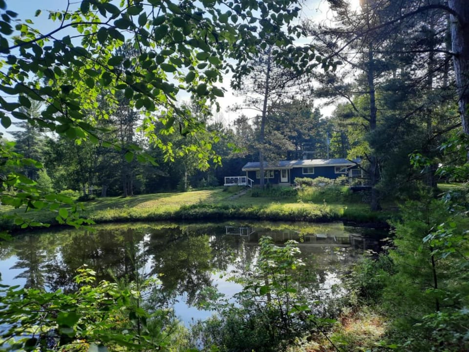 Whole home, private lake, sauna, WFH office House in Michigan