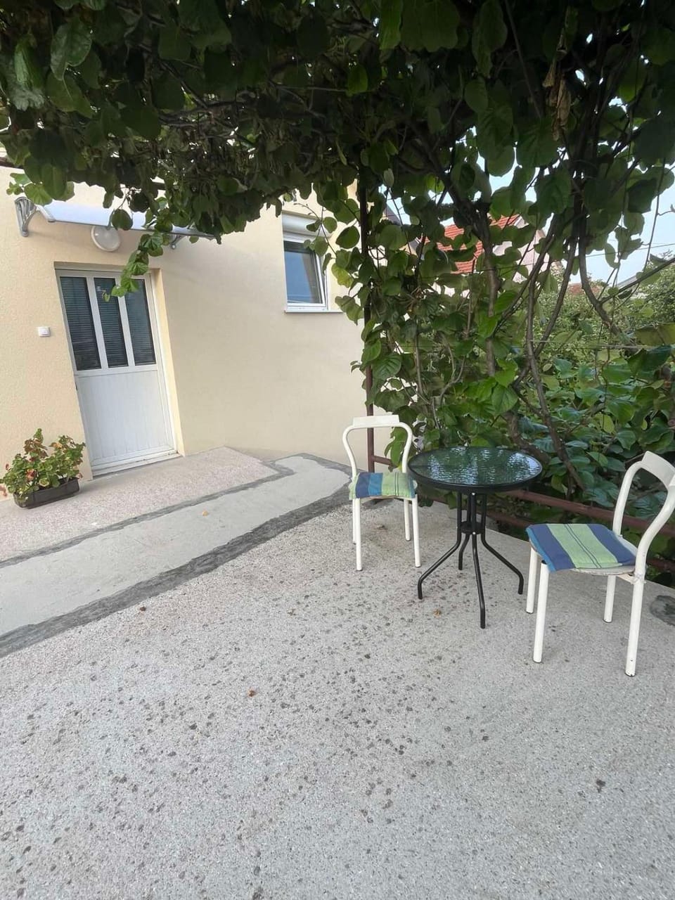 Garden view
