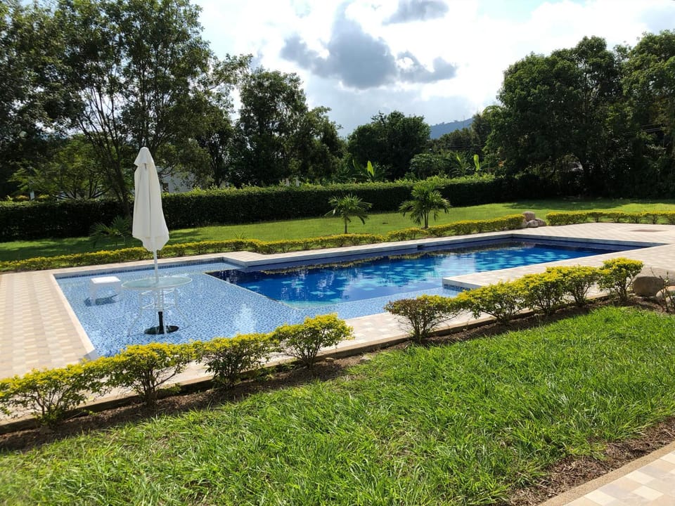 Spring, Natural landscape, Garden, Garden view, Pool view, Swimming pool