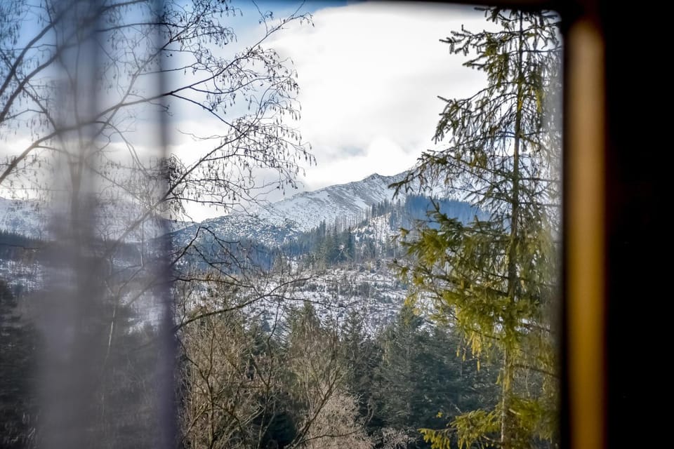 Mountain view