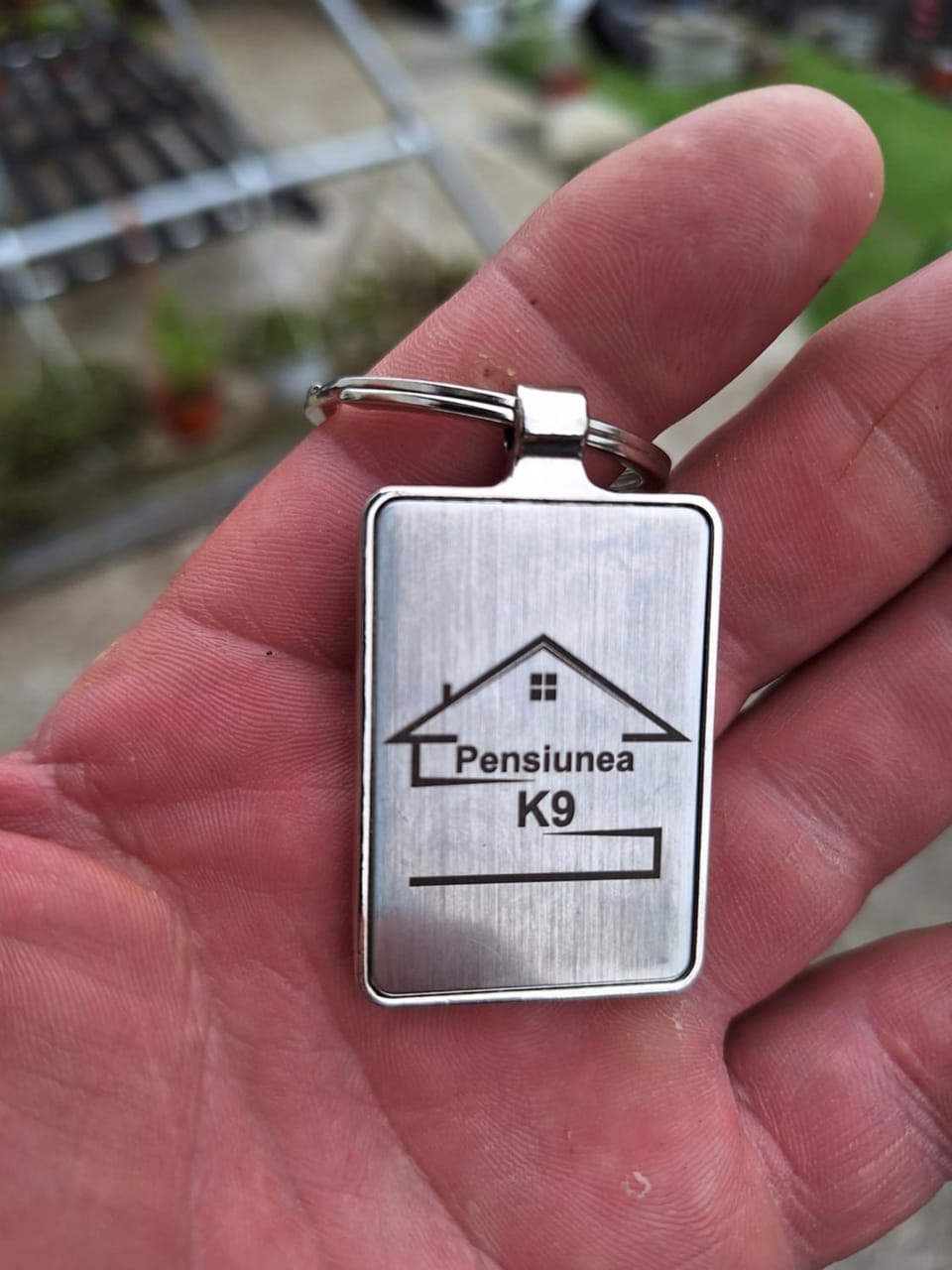 Pensiunea K9 Bed and Breakfast in Cluj County