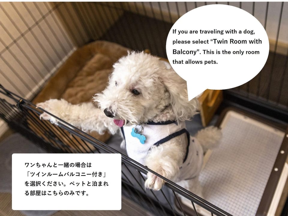 Text overlay, Pets