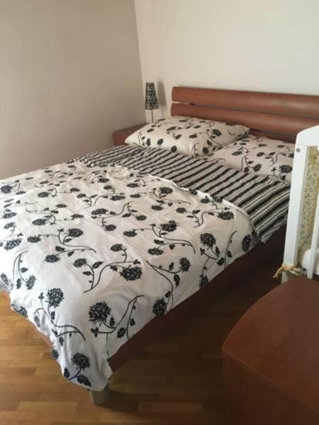 Apartma Alis Apartment in Friuli-Venezia Giulia