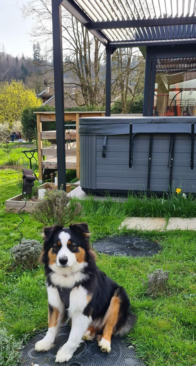 Garden, Hot Tub, Garden view