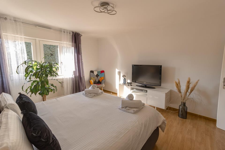 Le gîte de Sabina - Colmar Apartment in Colmar