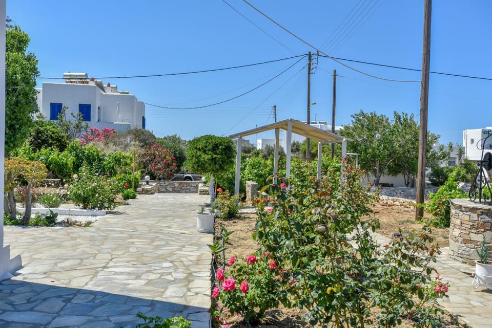 Facade/entrance, Garden, Garden