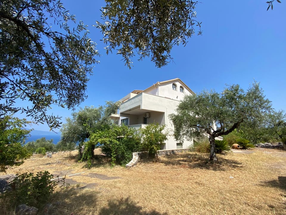 Property building, Natural landscape, Garden