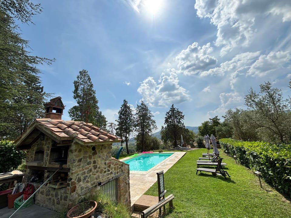 Natural landscape, Garden, Garden view, Pool view, Swimming pool, sunbed
