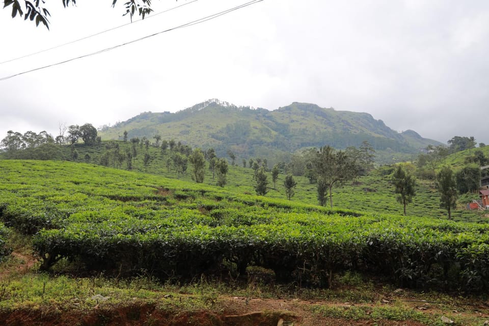 Natural landscape, Mountain view