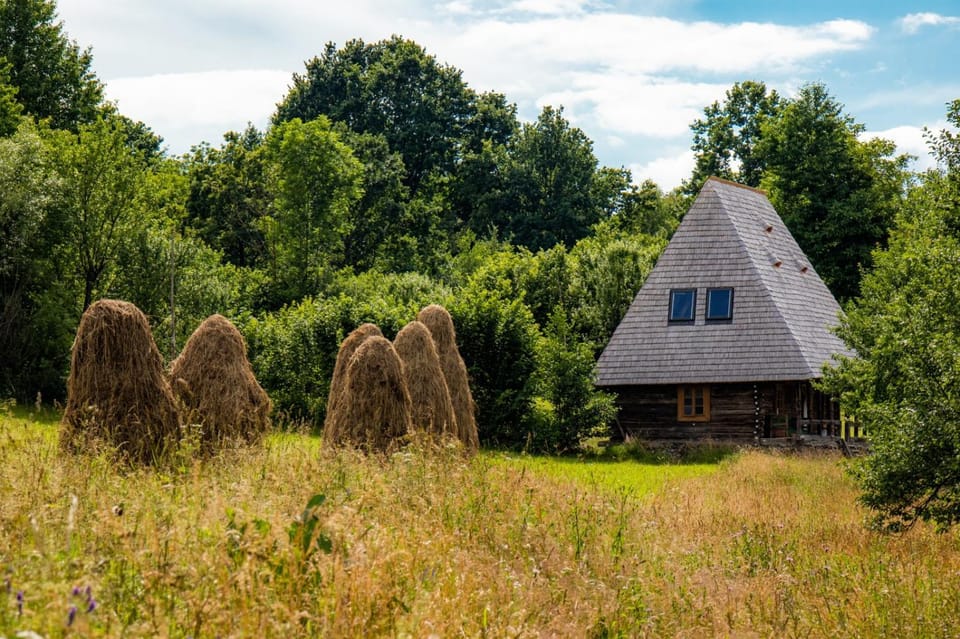 Property building, Day, Natural landscape, Summer, Garden, Garden view