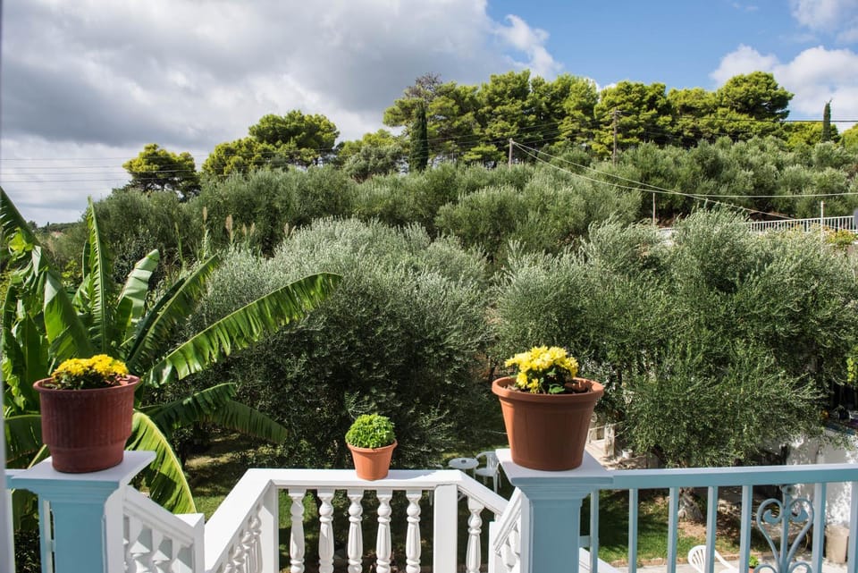 Property building, Patio, Garden view