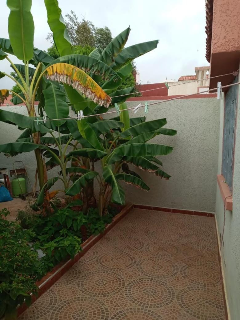 L'orientale Villa in Morocco