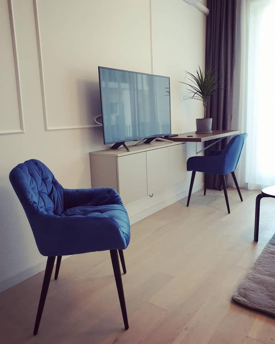 TV and multimedia