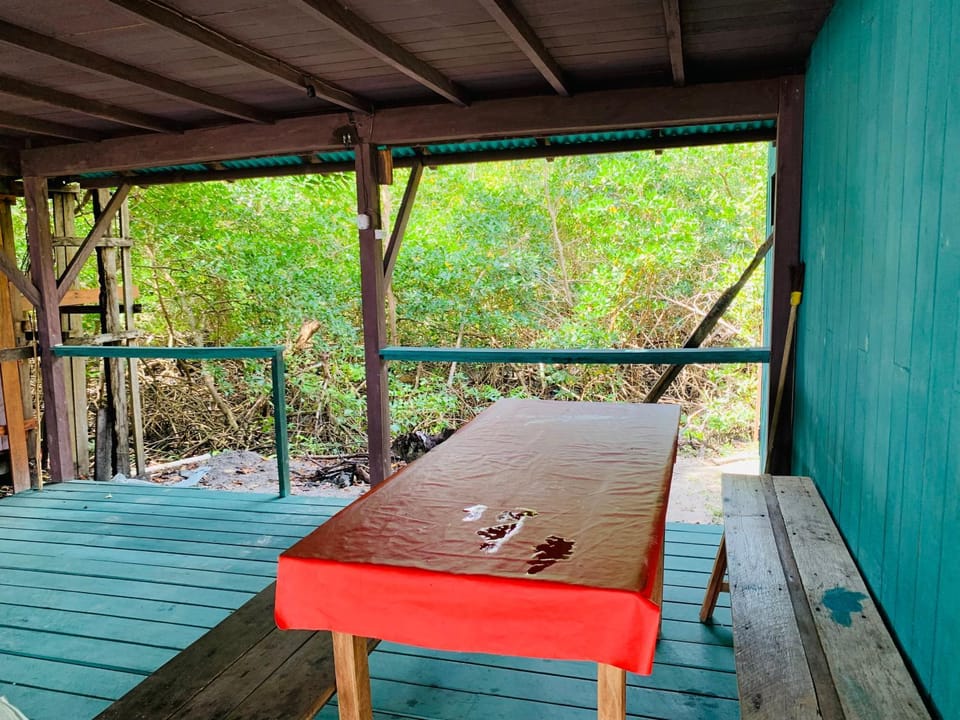 Flowmove Algodoal House in State of Pará