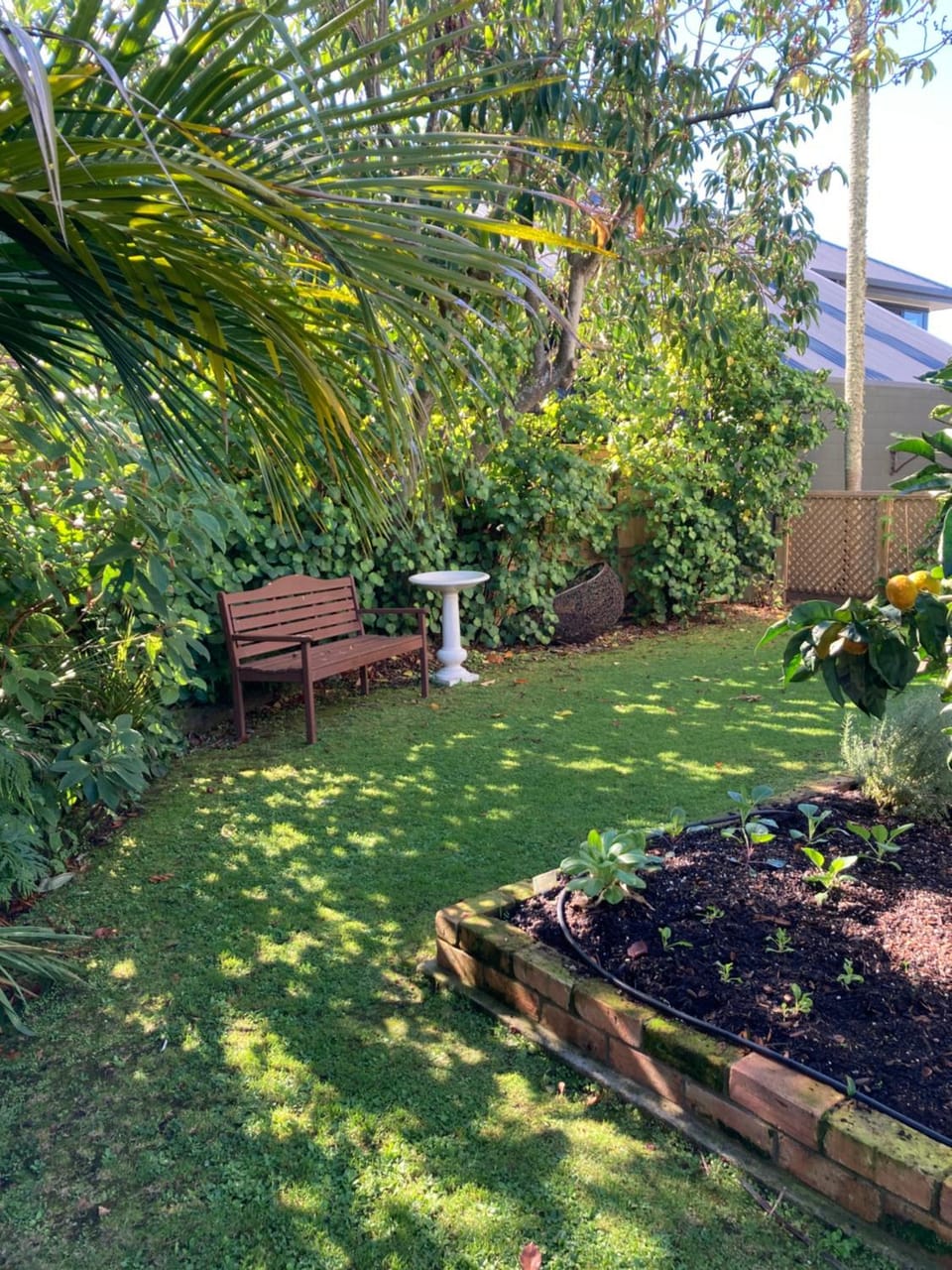 Garden view