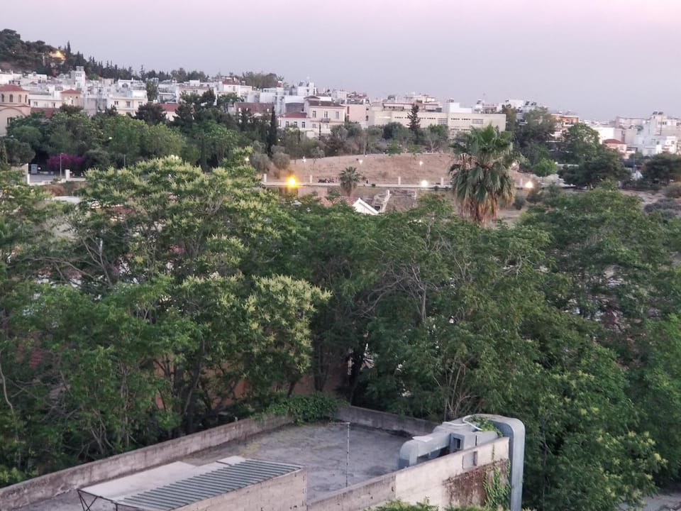 Neighbourhood, Natural landscape, Bird's eye view