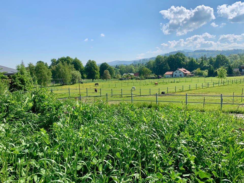 Day, Natural landscape, Garden, Garden view, Mountain view
