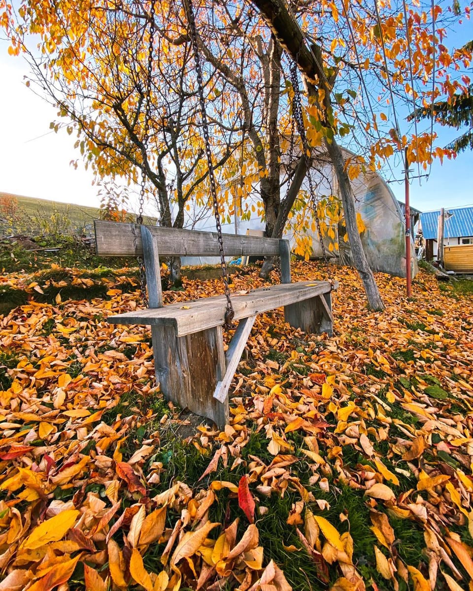 Autumn